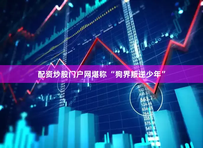配资炒股门户网堪称 “狗界叛逆少年”